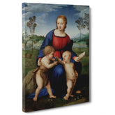 Raffaello Sanzio - Madonna del Cardellino
